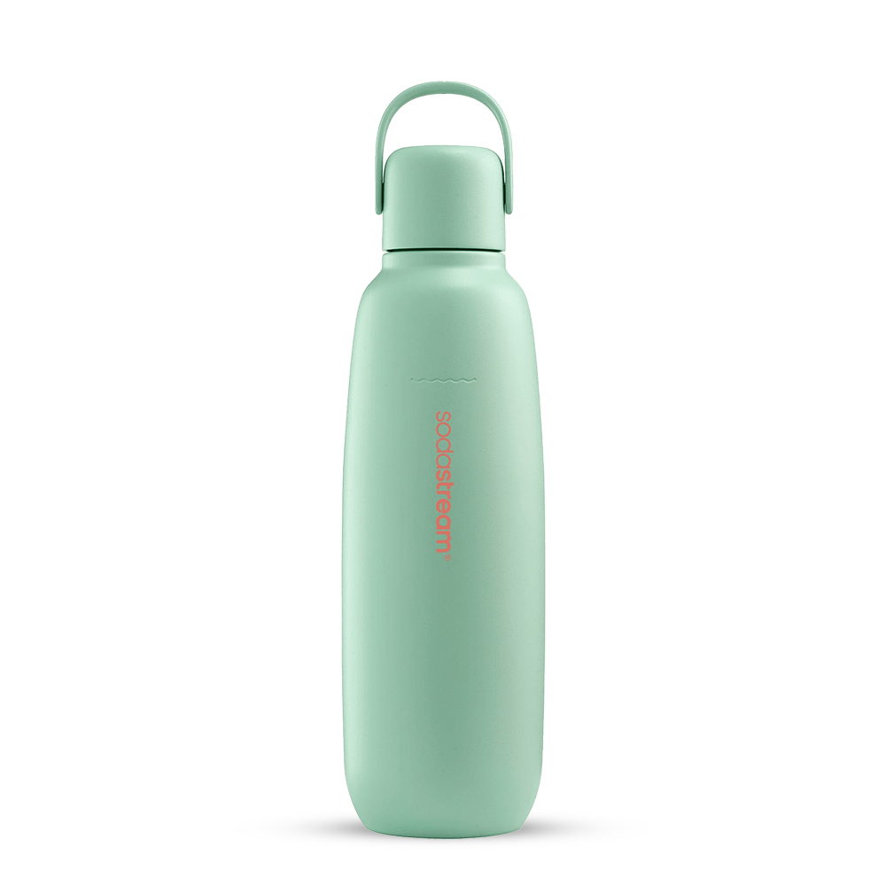 fizz & go Edelstahl Sprudlerflasche (Mint) 0,9L, 1er-Pack