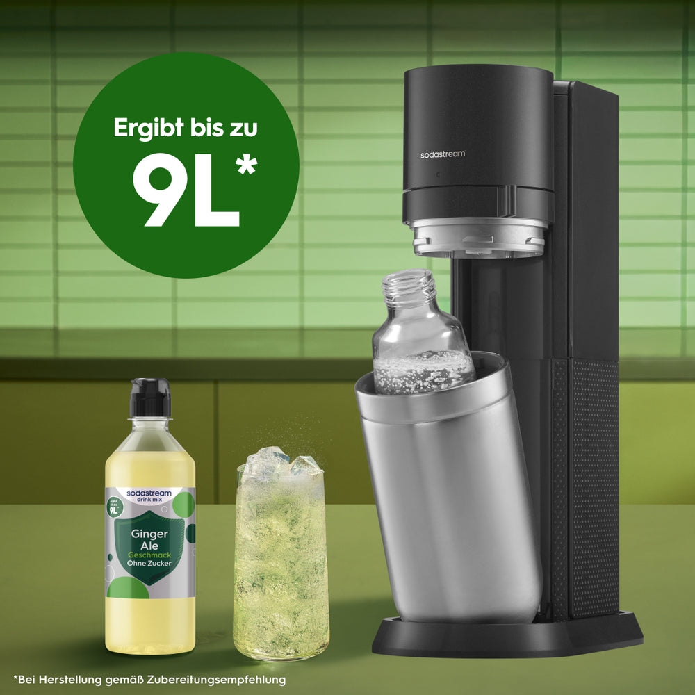 Ginger Ale ohne Zucker Sirup drink mix 440 ml