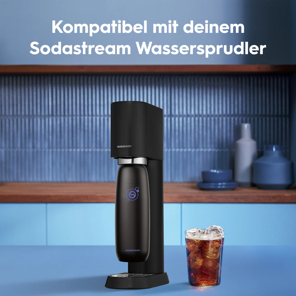 fizz & go Edelstahl Sprudlerflasche (Charcoal) 0,9 L, 1er-Pack