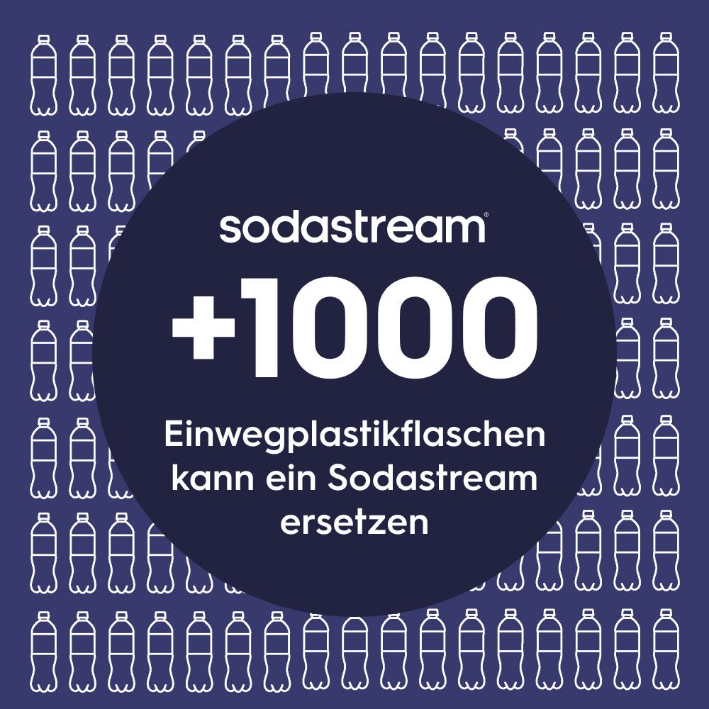 fizz & go Edelstahl Sprudlerflasche (Charcoal) 0,9 L, 1er-Pack