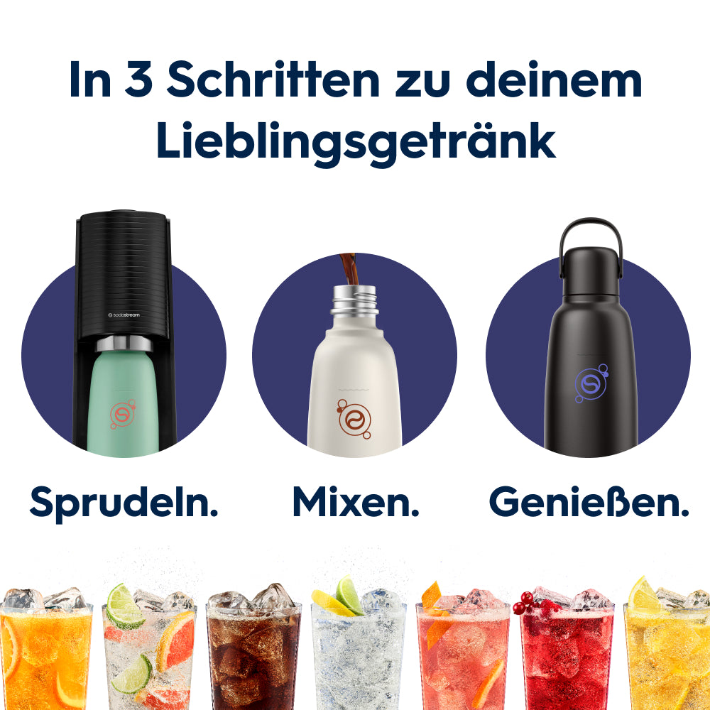 fizz & go Edelstahl Sprudlerflasche (Charcoal) 0,9 L, 1er-Pack
