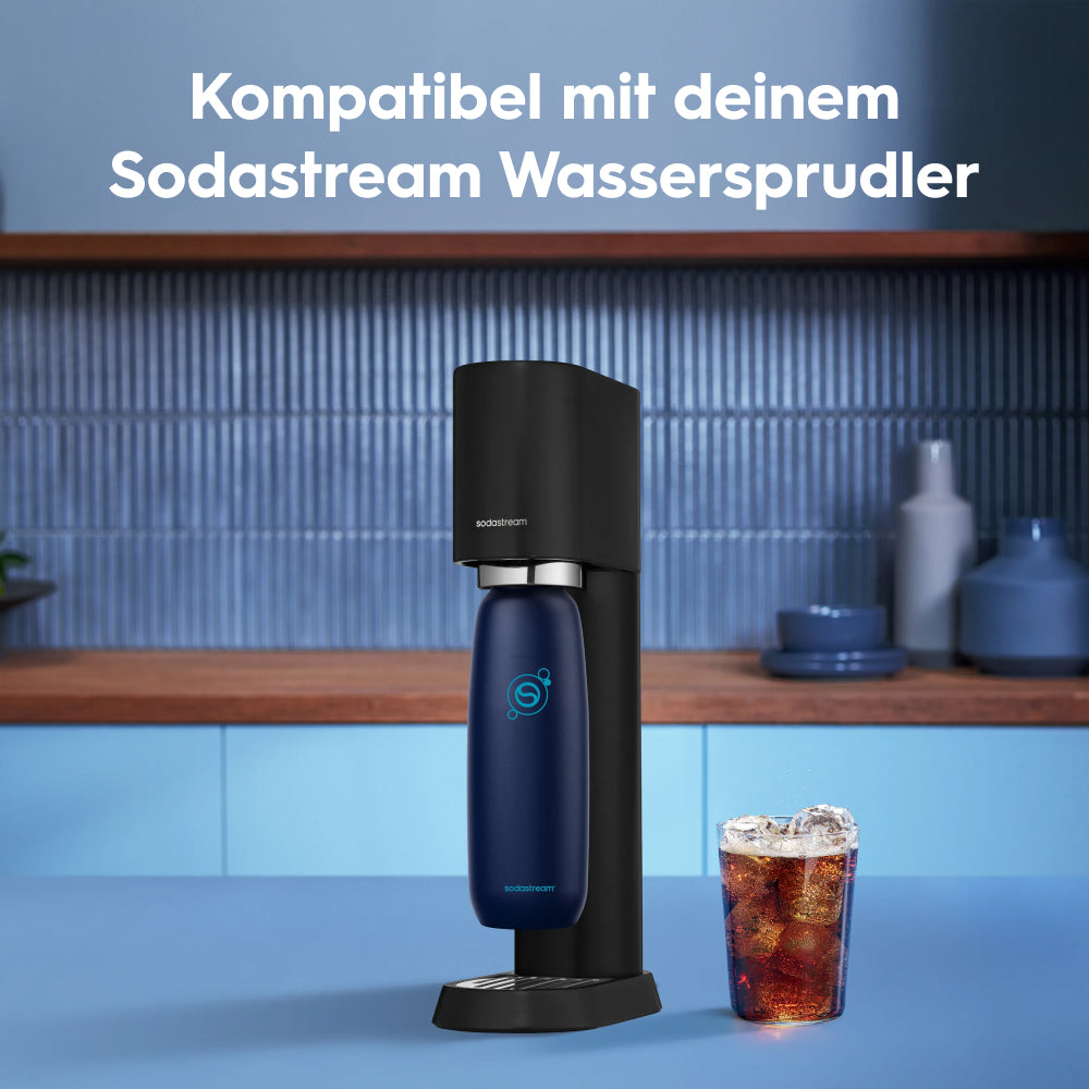fizz & go Edelstahl Sprudlerflasche (Blueberry) 0,9 L, 1er-Pack