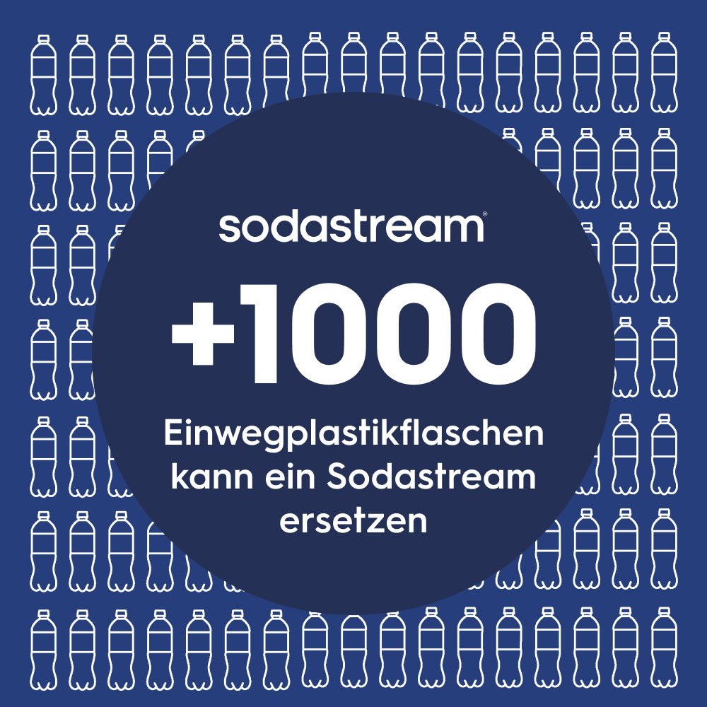 fizz & go Edelstahl Sprudlerflasche (Blueberry) 0,9 L, 1er-Pack