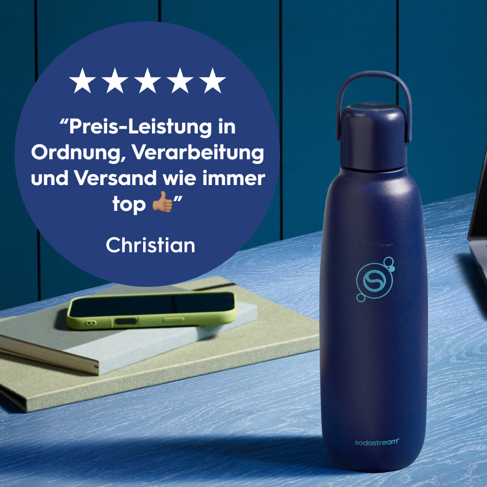 fizz & go Edelstahl Sprudlerflasche (Blueberry) 0,9 L, 1er-Pack
