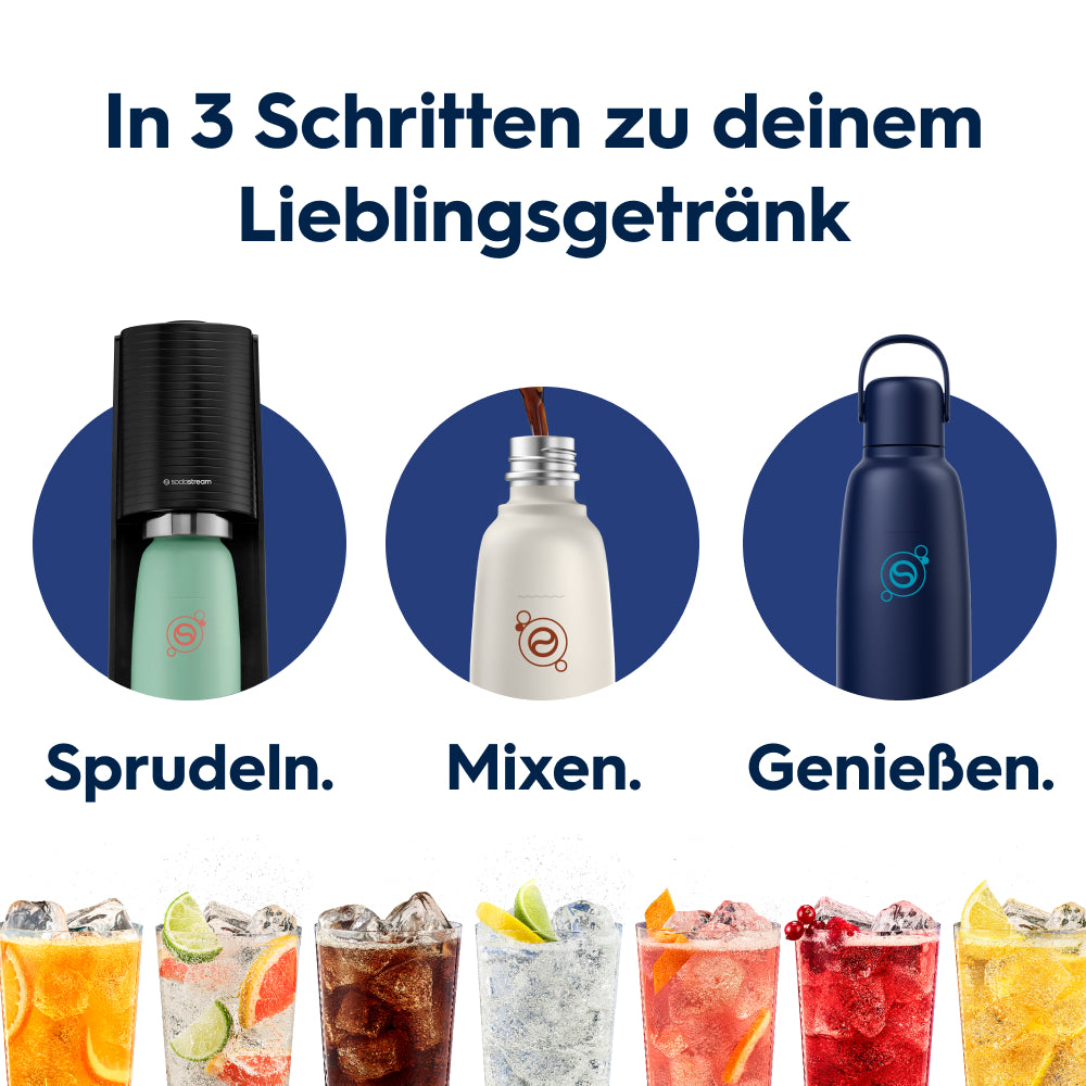 fizz & go Edelstahl Sprudlerflasche (Blueberry) 0,9 L, 1er-Pack