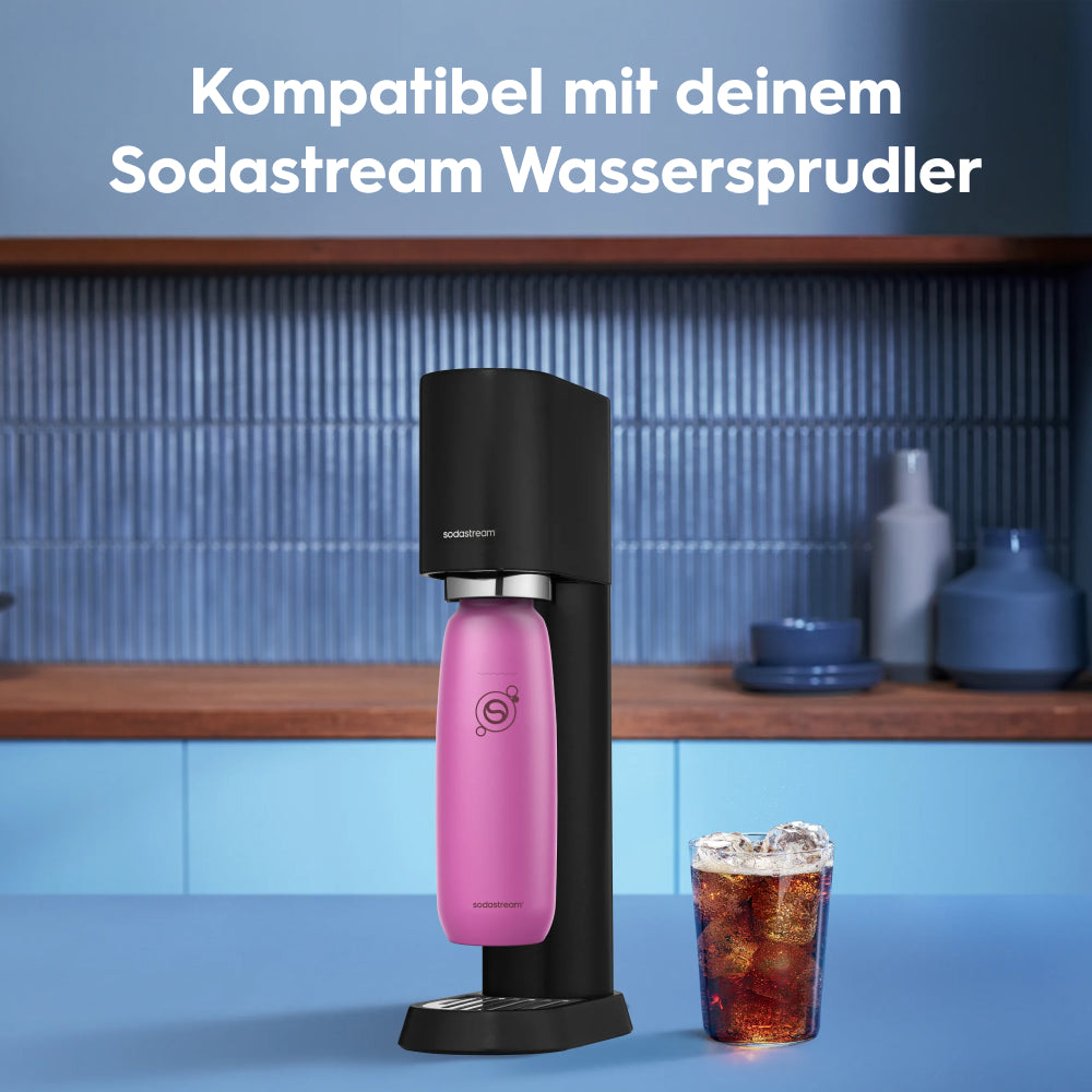 fizz & go Edelstahl Sprudlerflasche (Guava) 0,9 L, 1er-Pack