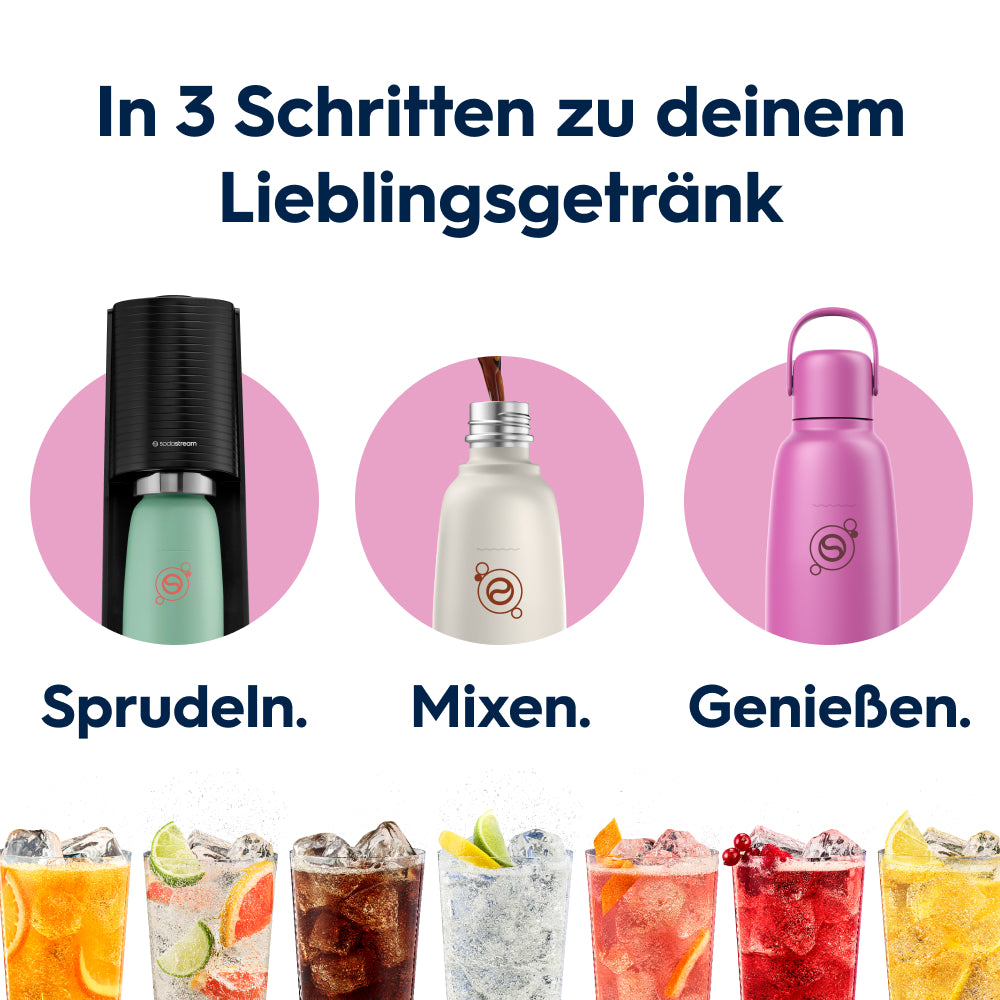 fizz & go Edelstahl Sprudlerflasche (Guava) 0,9 L, 1er-Pack