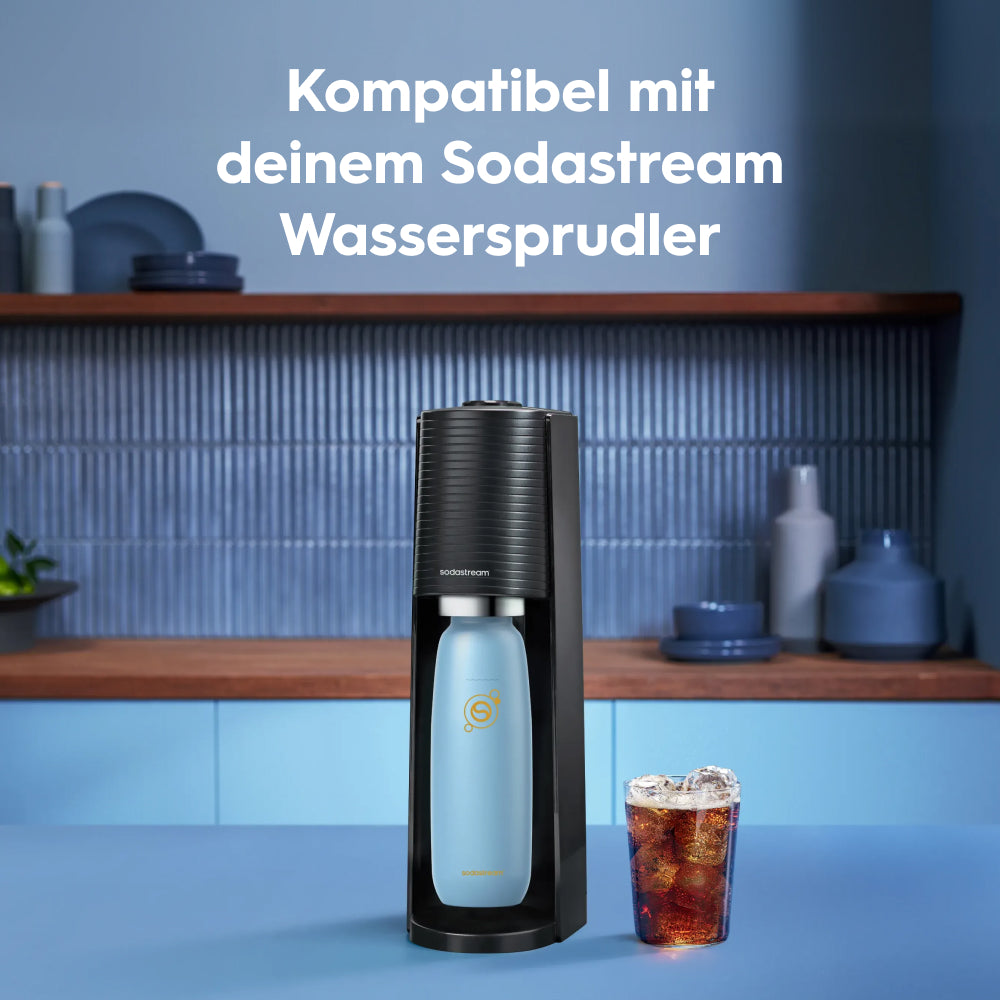 fizz & go Edelstahl Sprudlerflasche (Ice) 0,9 L, 1er-Pack