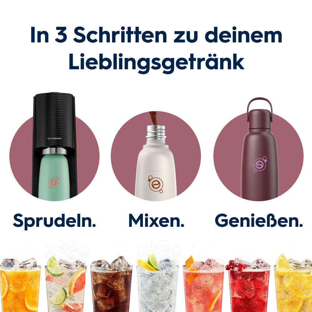 fizz & go Edelstahl Sprudlerflasche (Pomegranate) 0,9 L, 1er-Pack